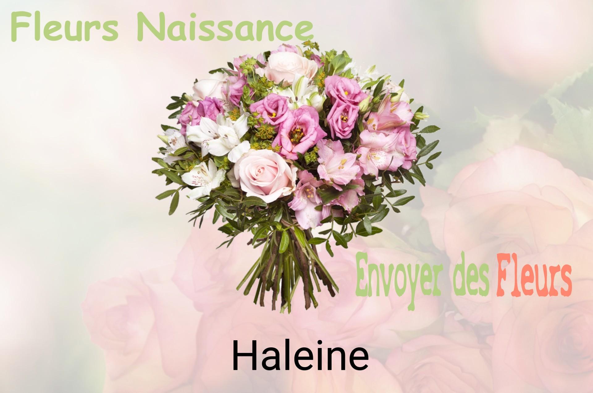 Bouquet de fleurs de naissance livré à Haleine
