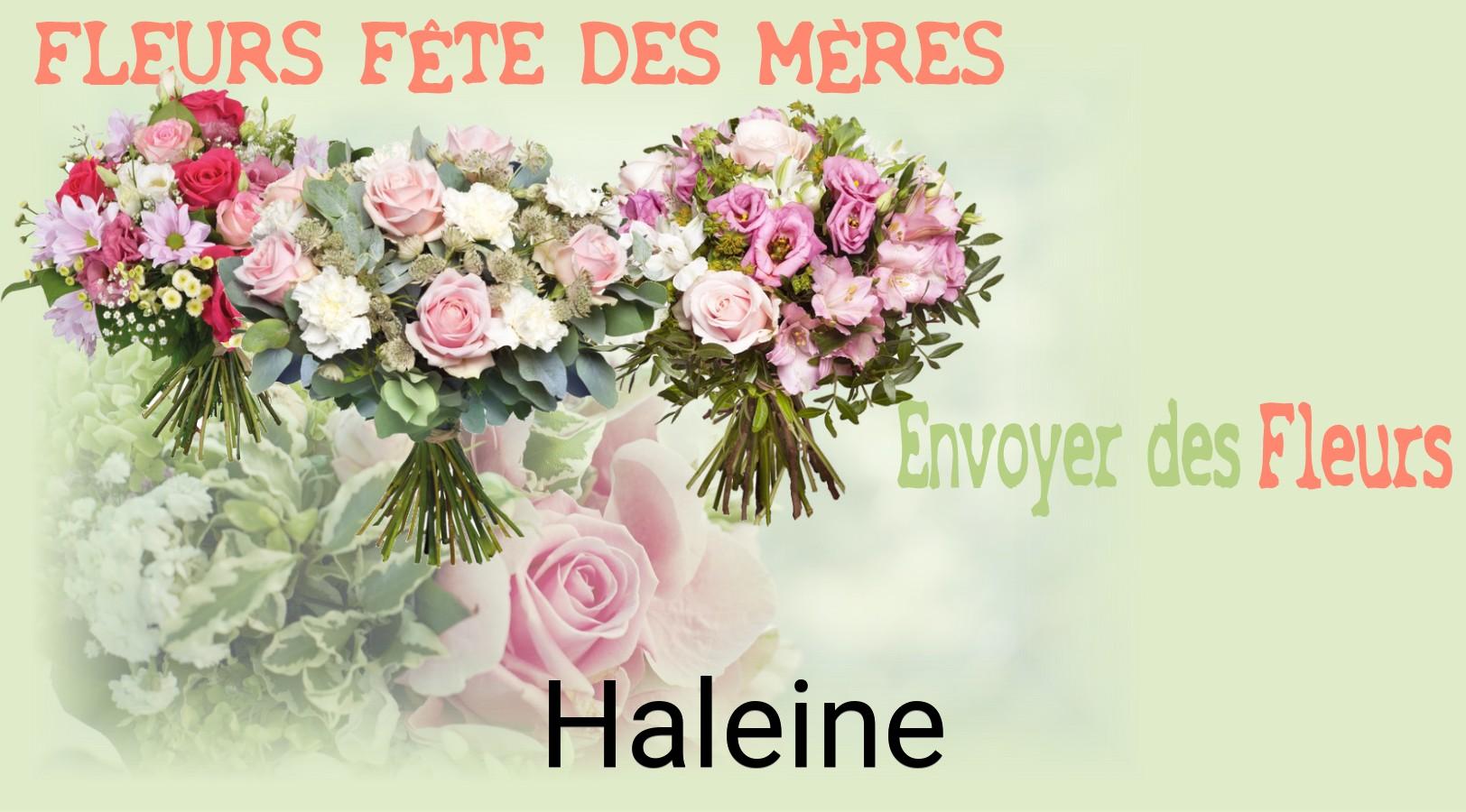 Bouquet de Fête des Mères livré à Haleine